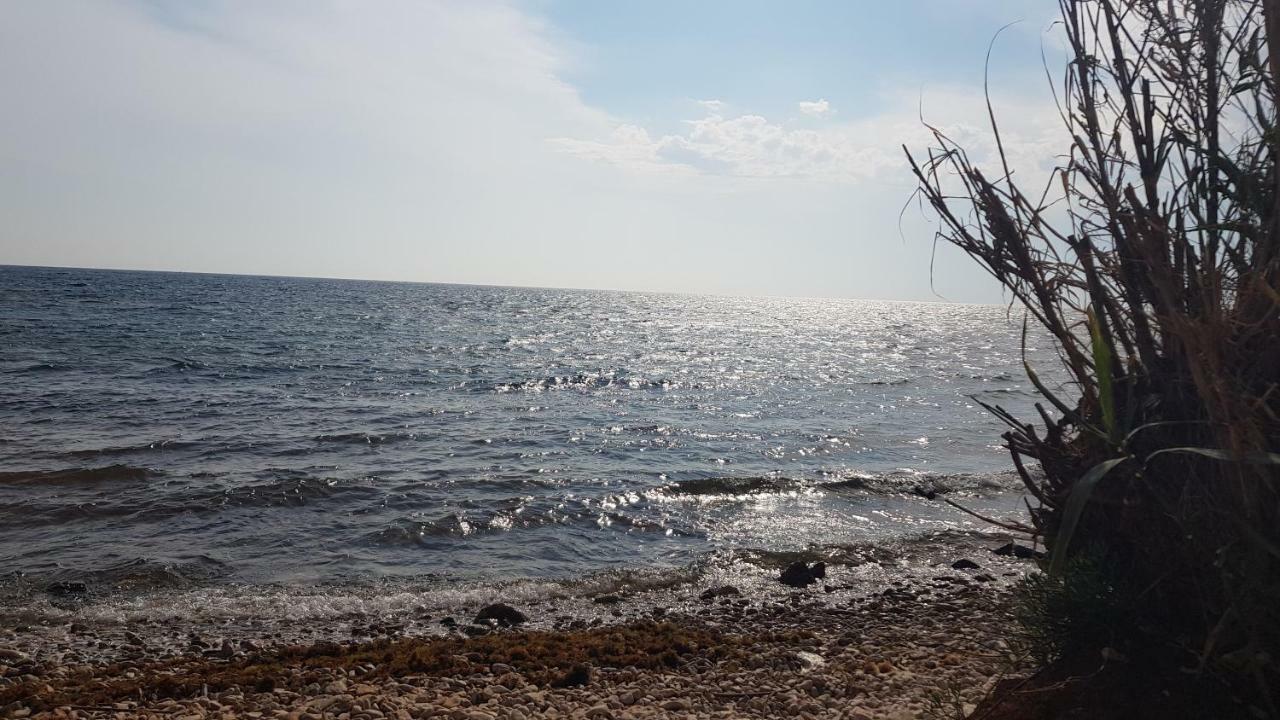 The Village Novigrad Istria Buitenkant foto